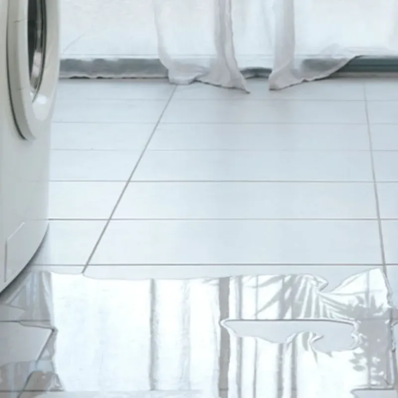 Appliance Leak Cleanup in South Hill, VA