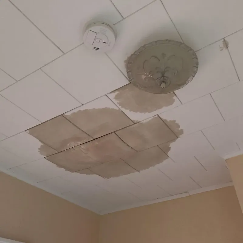 Ceiling Water Damage Repair in South Hill, VA