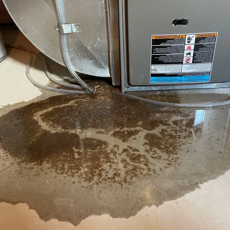 Pipe Burst and Leak Restoration in South Hill, VA