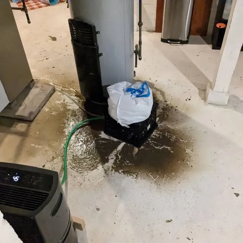 Sewage Backup Cleanup Service in South Hill, VA